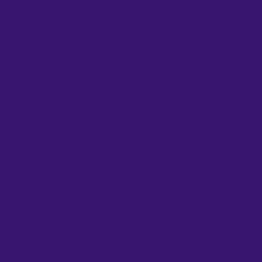 Purple - Avida Contemporary Flare Leg Cargo Pant